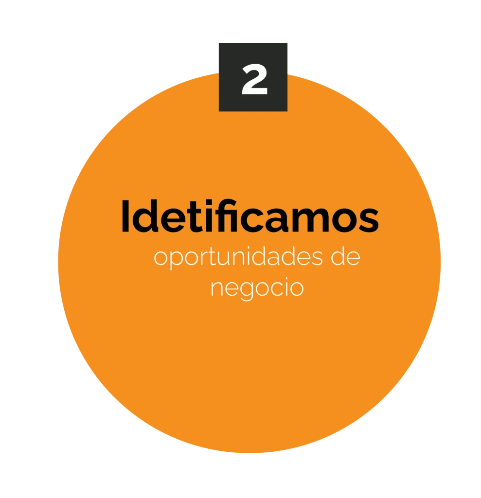 identificamos oportunidades